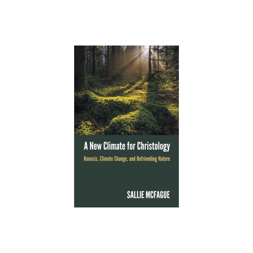 Augsburg Fortress Publishers A New Climate for Christology (häftad, eng)