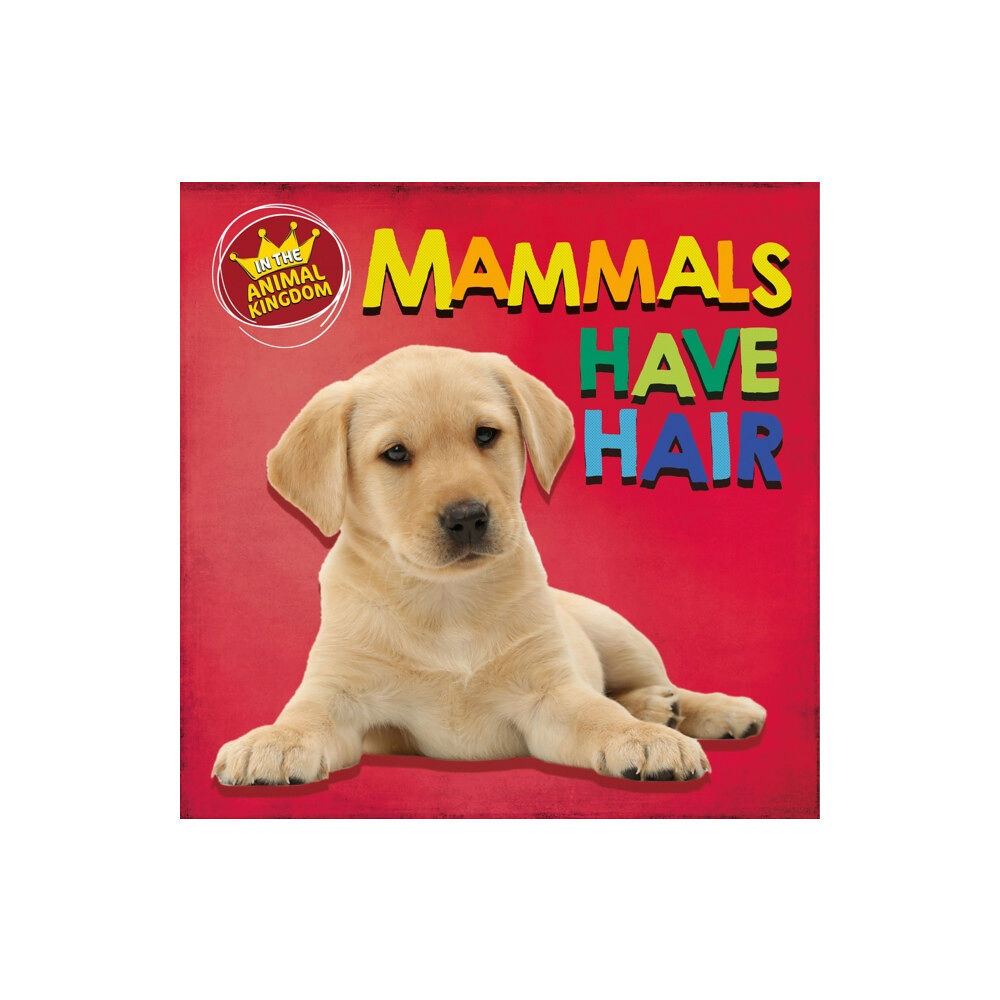 Hachette Children's Group In the Animal Kingdom: Mammals Have Hair (häftad, eng)