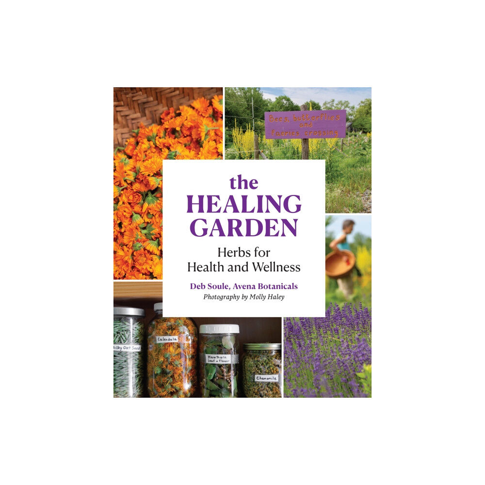 Princeton Architectural Press The Healing Garden (häftad, eng)