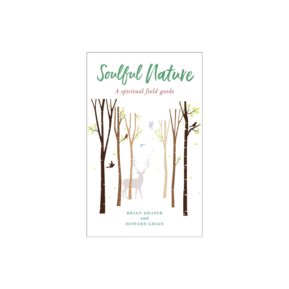 Canterbury Press Norwich Soulful Nature (häftad, eng)