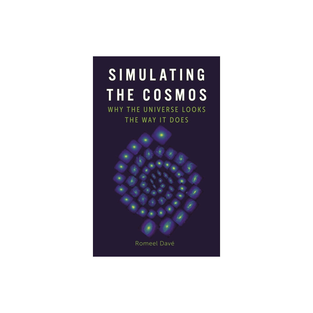 Reaktion Books Simulating the Cosmos (inbunden, eng)