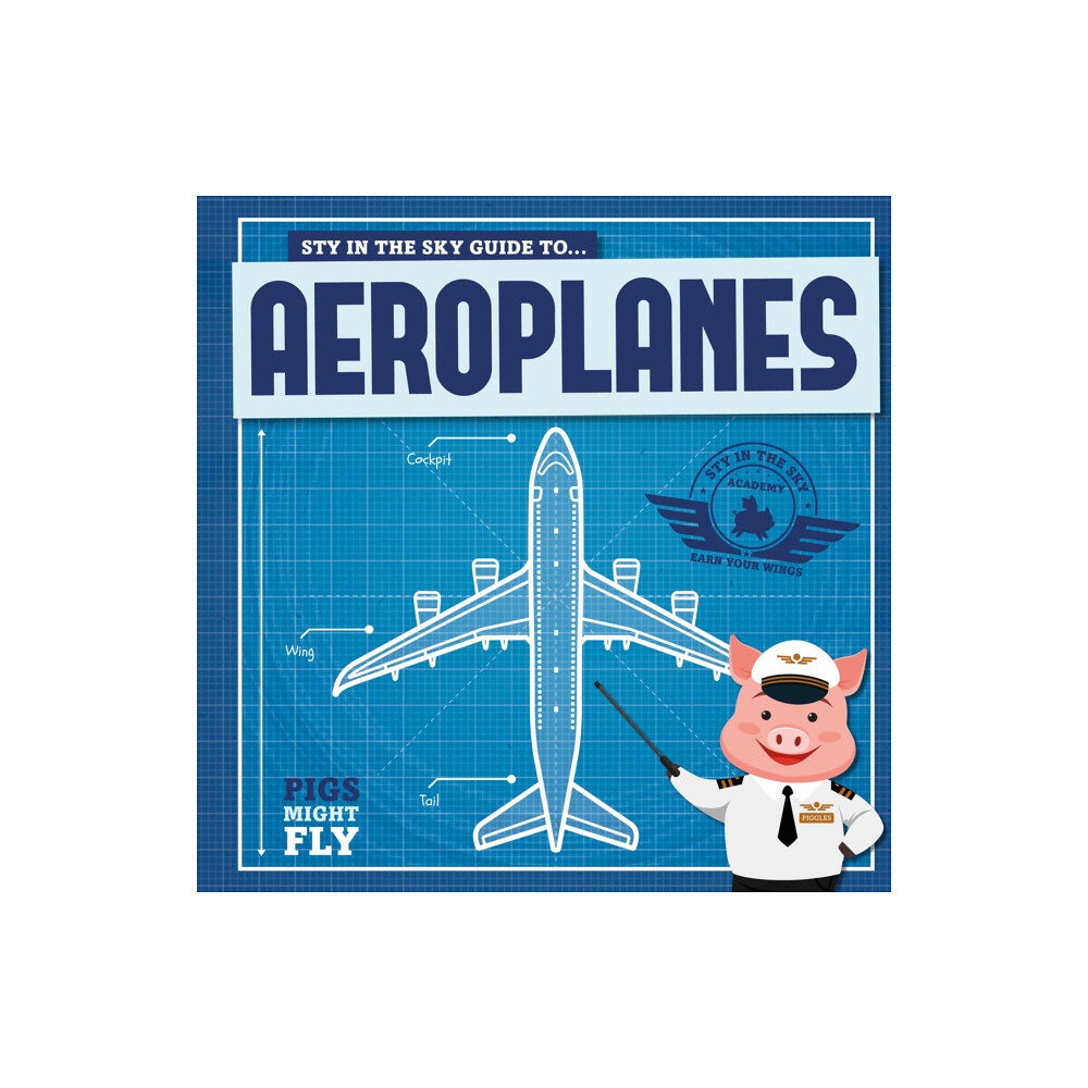 BookLife Publishing Aeroplanes (inbunden, eng)