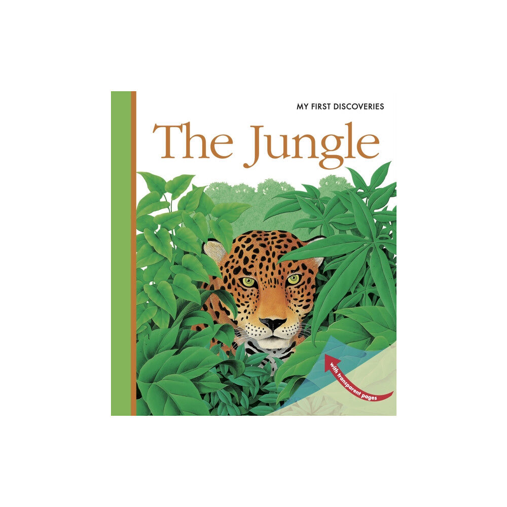 Moonlight Publishing Ltd The Jungle (bok, spiral, eng)