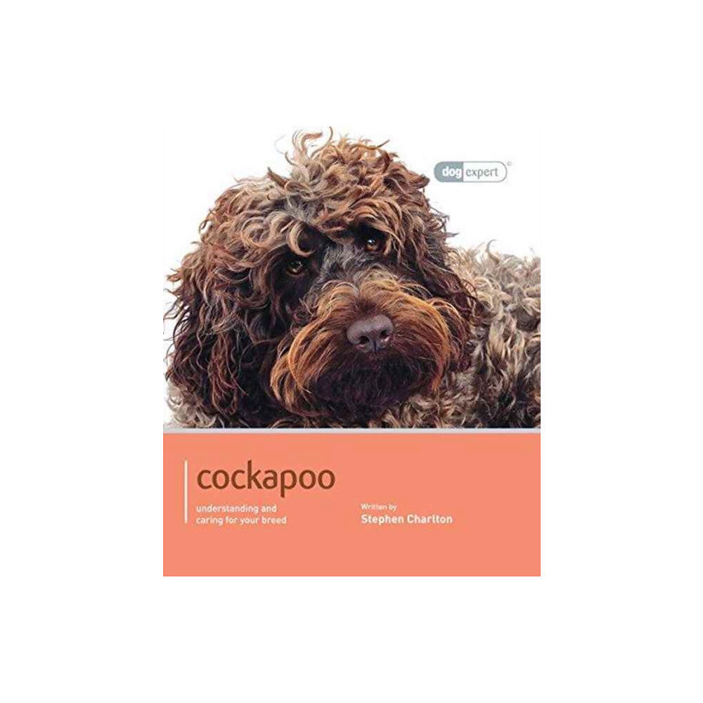 First Stone Publishing Cockapoo - Dog Expert (häftad, eng)