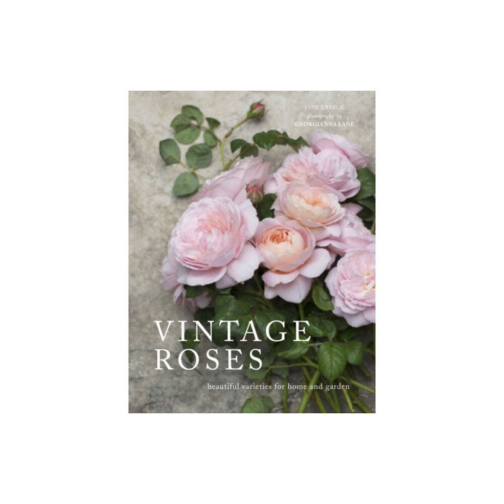 HarperCollins Publishers Vintage Roses (inbunden, eng)