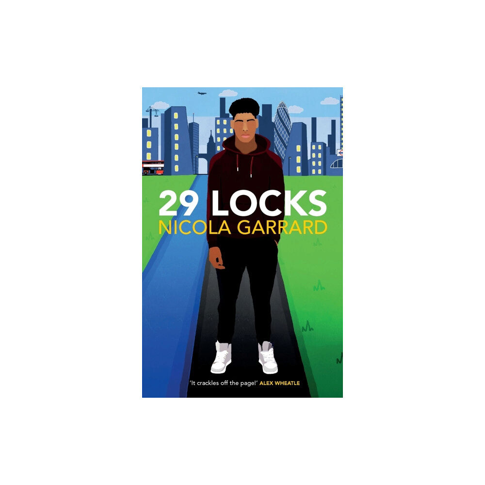 HopeRoad Publishing Ltd 29 Locks (häftad, eng)