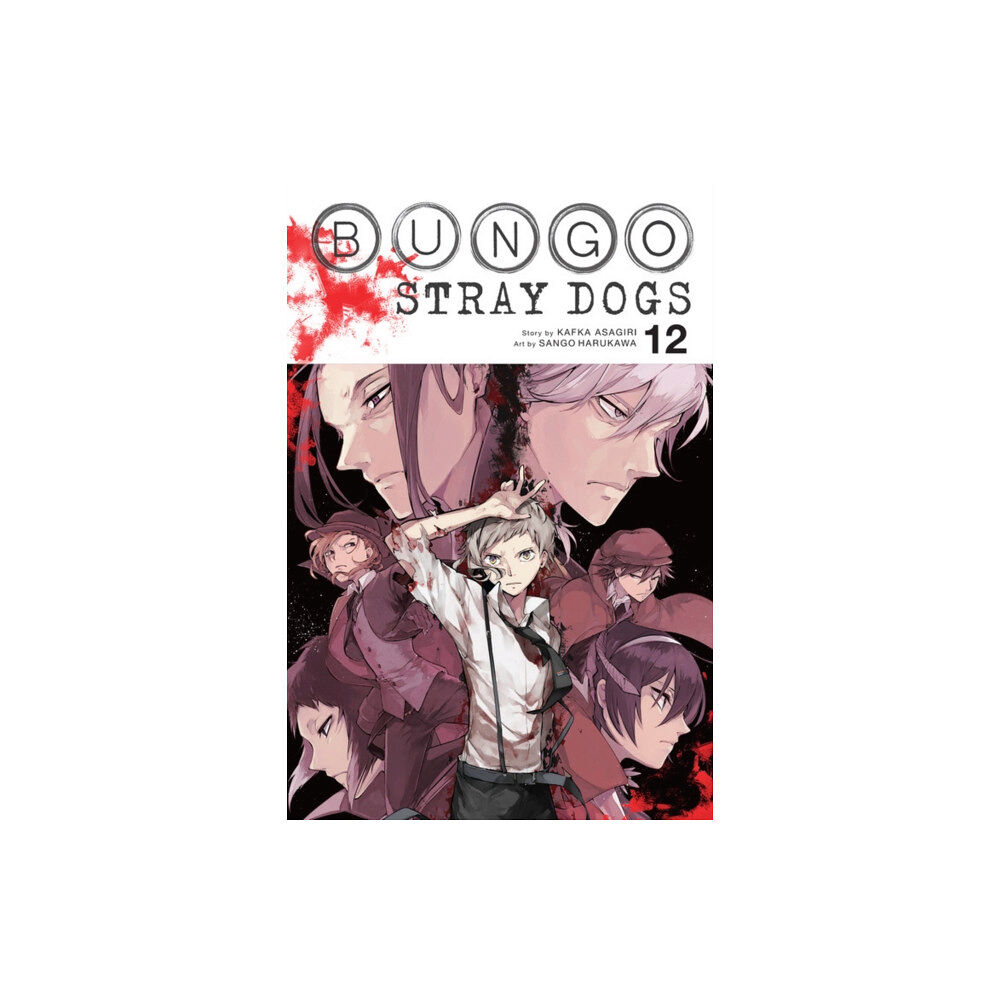 Little, Brown & Company Bungo Stray Dogs, Vol. 12 (häftad, eng)