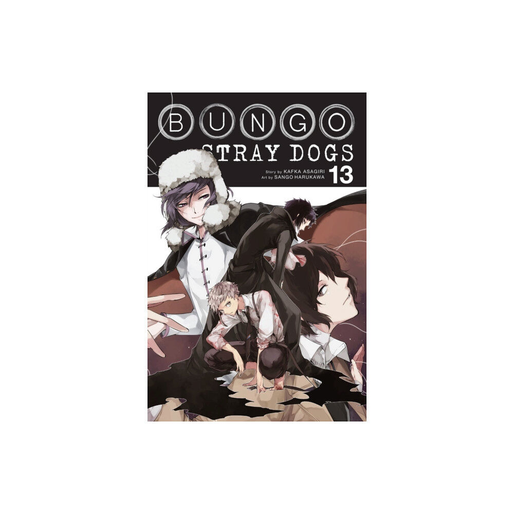 Little, Brown & Company Bungo Stray Dogs, Vol. 13 (häftad, eng)