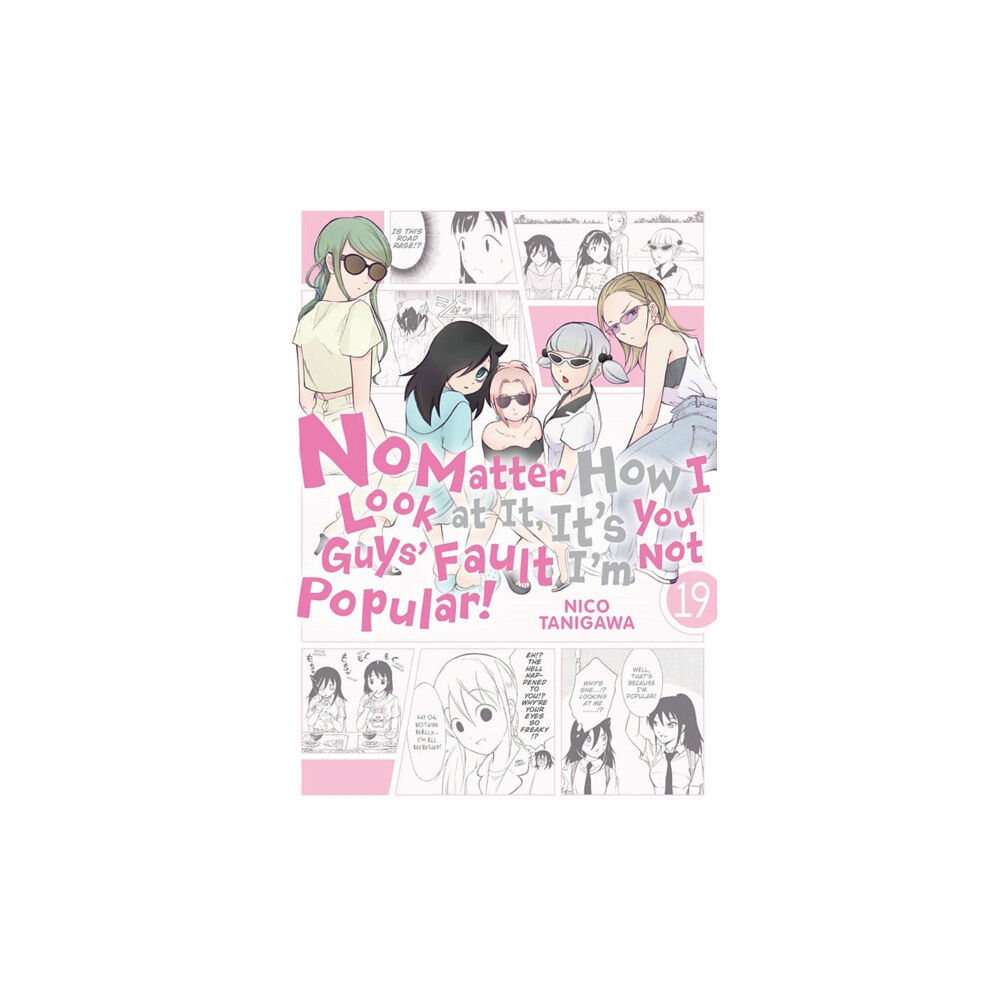 Little, Brown & Company No Matter How I Look at It, It's You Guys' Fault I'm Not Popular!, Vol. 19 (häftad, eng)