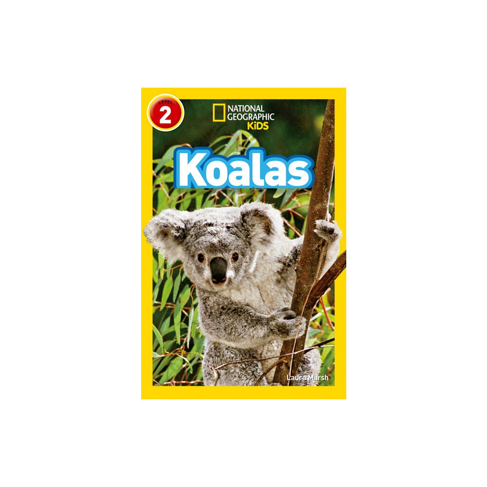 HarperCollins Publishers Koalas (häftad, eng)