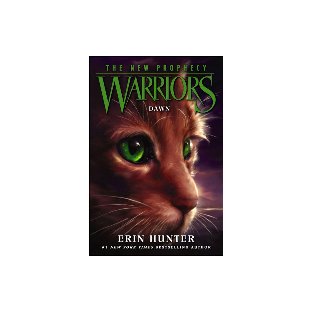 Harpercollins Childrens Books Dawn (häftad, eng)