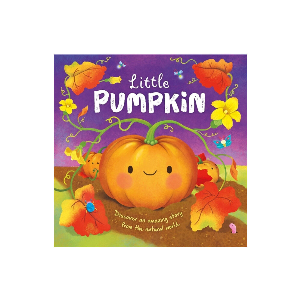 Bonnier Books Ltd Little Pumpkin (inbunden, eng)