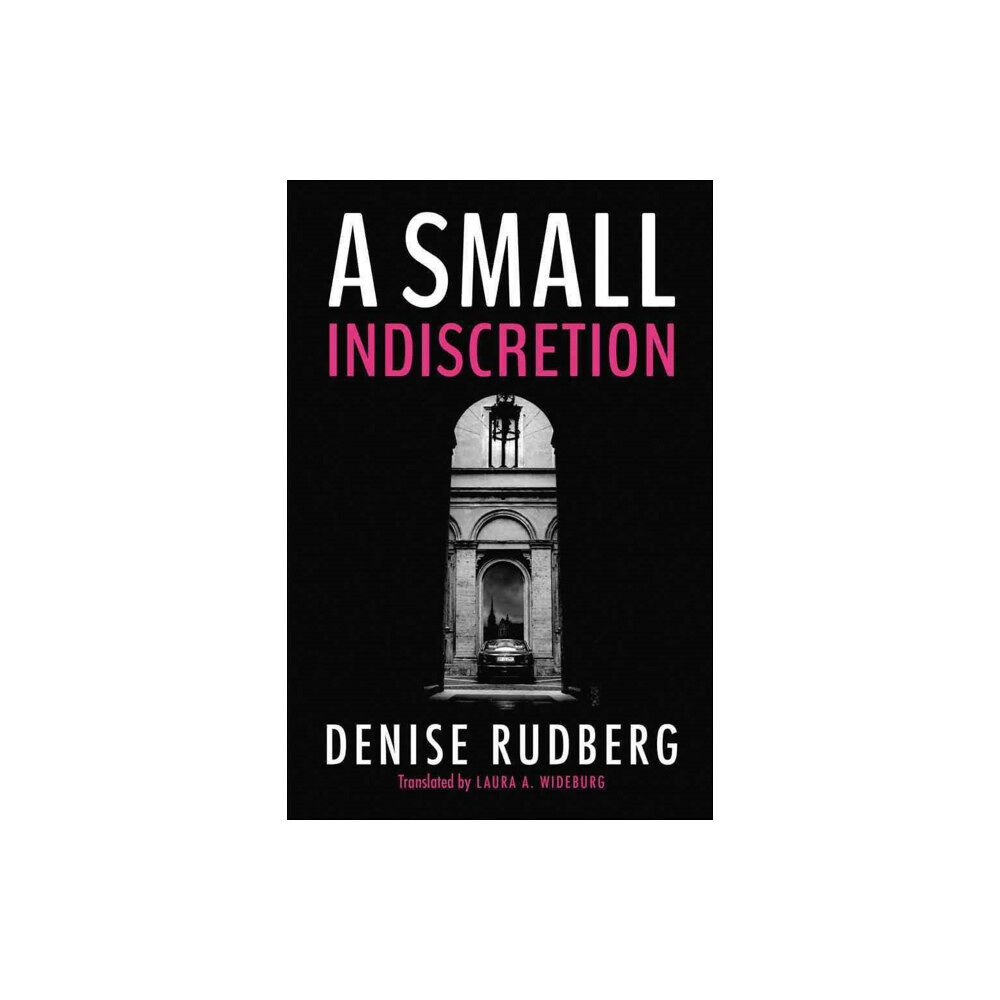 Amazon Publishing A Small Indiscretion (häftad, eng)