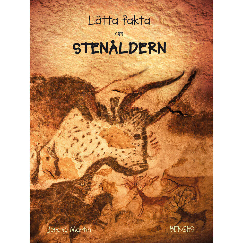 Jerome Martin Lätta fakta om stenåldern (inbunden)
