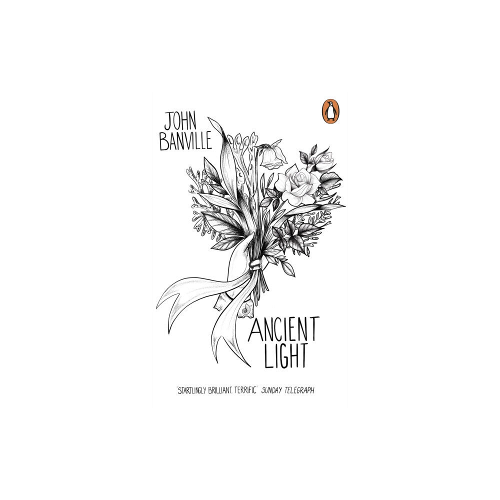 Penguin books ltd Ancient Light (häftad, eng)