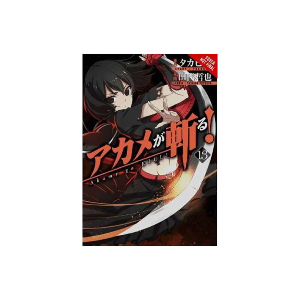 Little, Brown & Company Akame ga Kill!, Vol. 13 (häftad, eng)