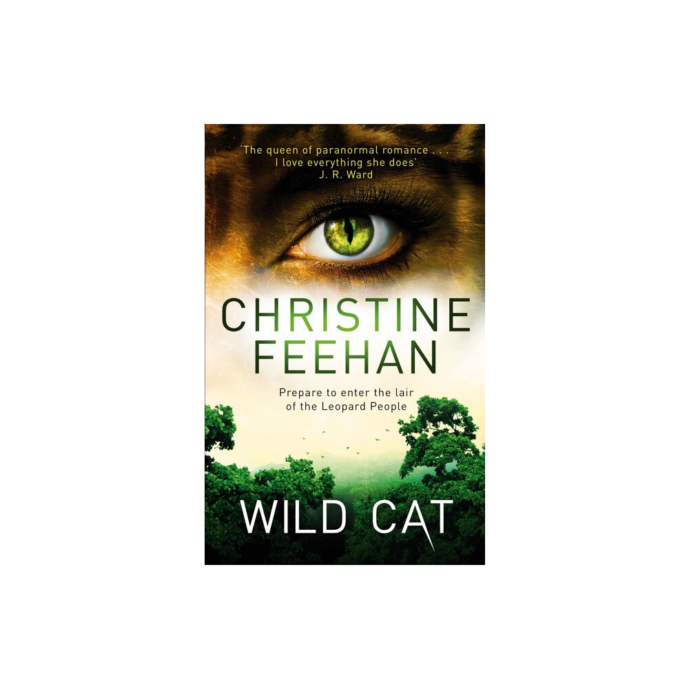 Little, Brown Book Group Wild Cat (häftad, eng)