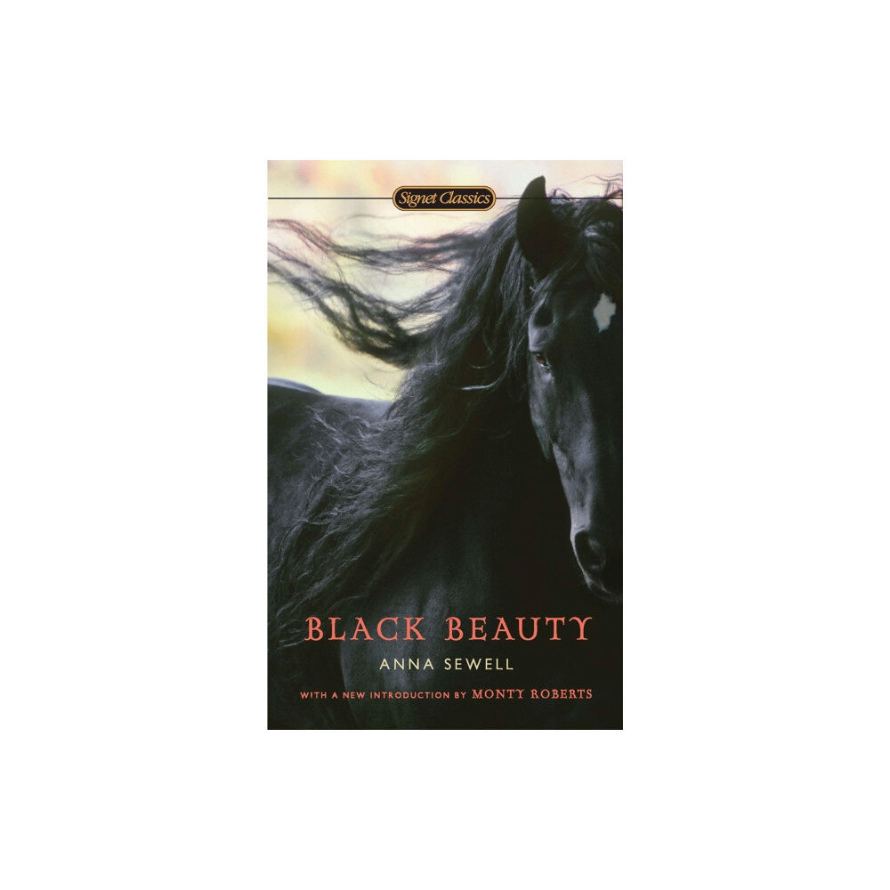 Penguin Putnam Inc Black Beauty (häftad, eng)