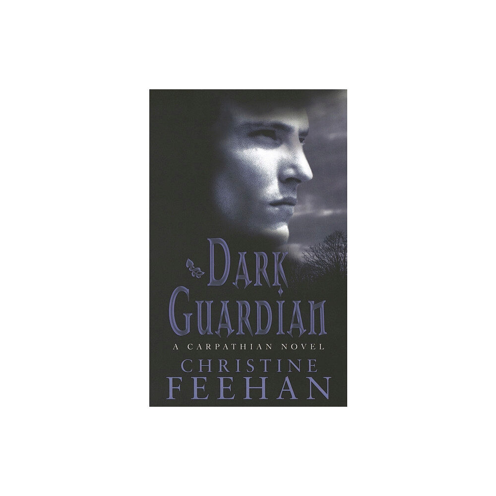 Little, Brown Book Group Dark Guardian (häftad, eng)