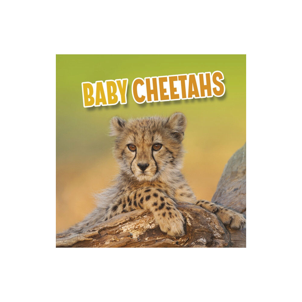 Capstone Global Library Ltd Baby Cheetahs (häftad, eng)