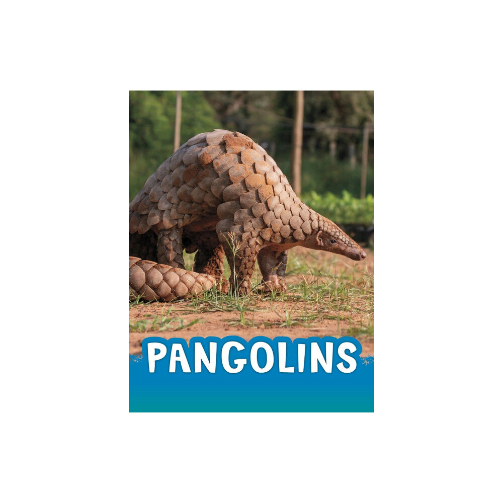 Capstone Global Library Ltd Pangolins (häftad, eng)