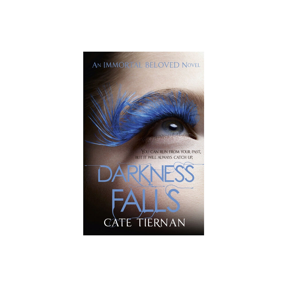 Hodder & Stoughton Darkness Falls (Immortal Beloved Book Two) (häftad, eng)