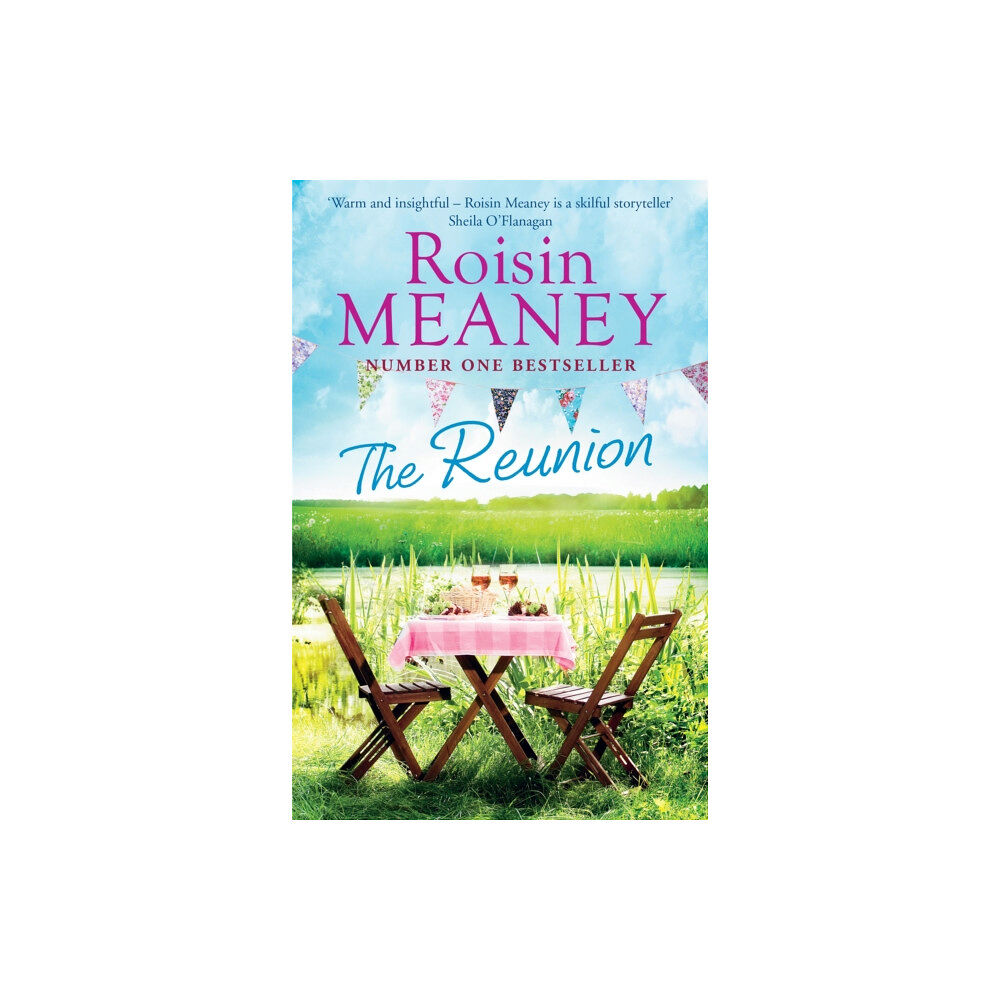 Hachette Books Ireland The Reunion (häftad, eng)