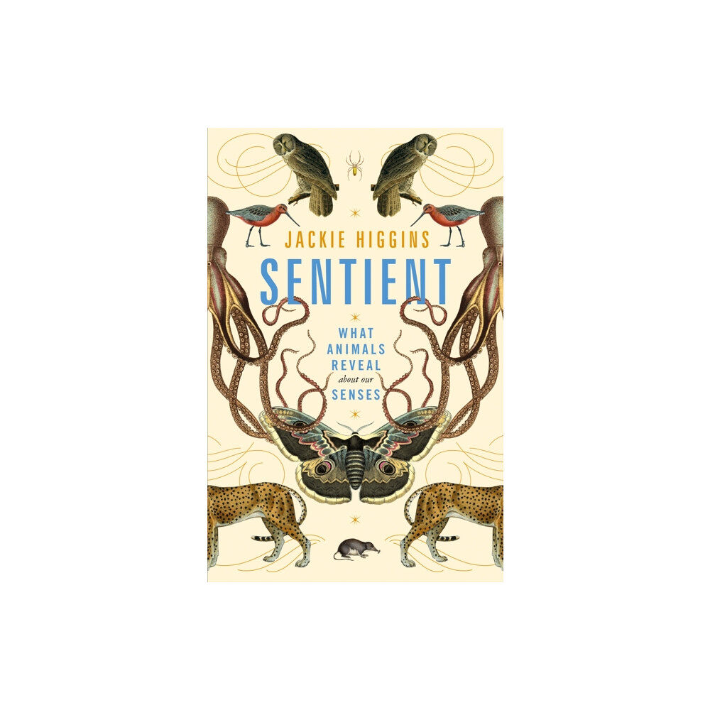 Pan Macmillan Sentient (häftad, eng)