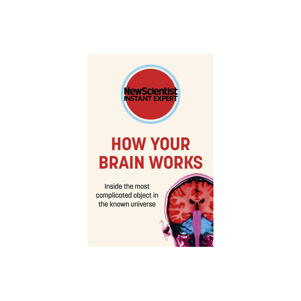 John Murray Press How Your Brain Works (häftad, eng)