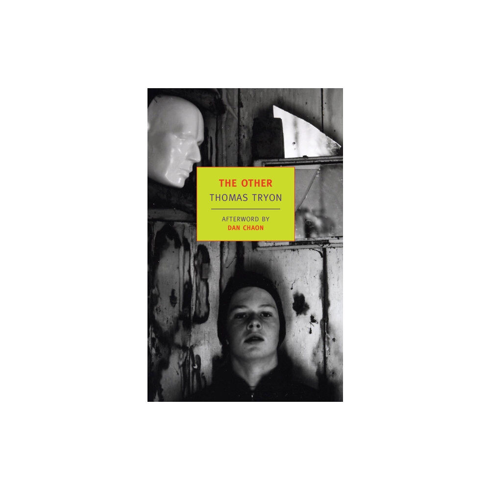 The New York Review of Books, Inc The Other (häftad, eng)