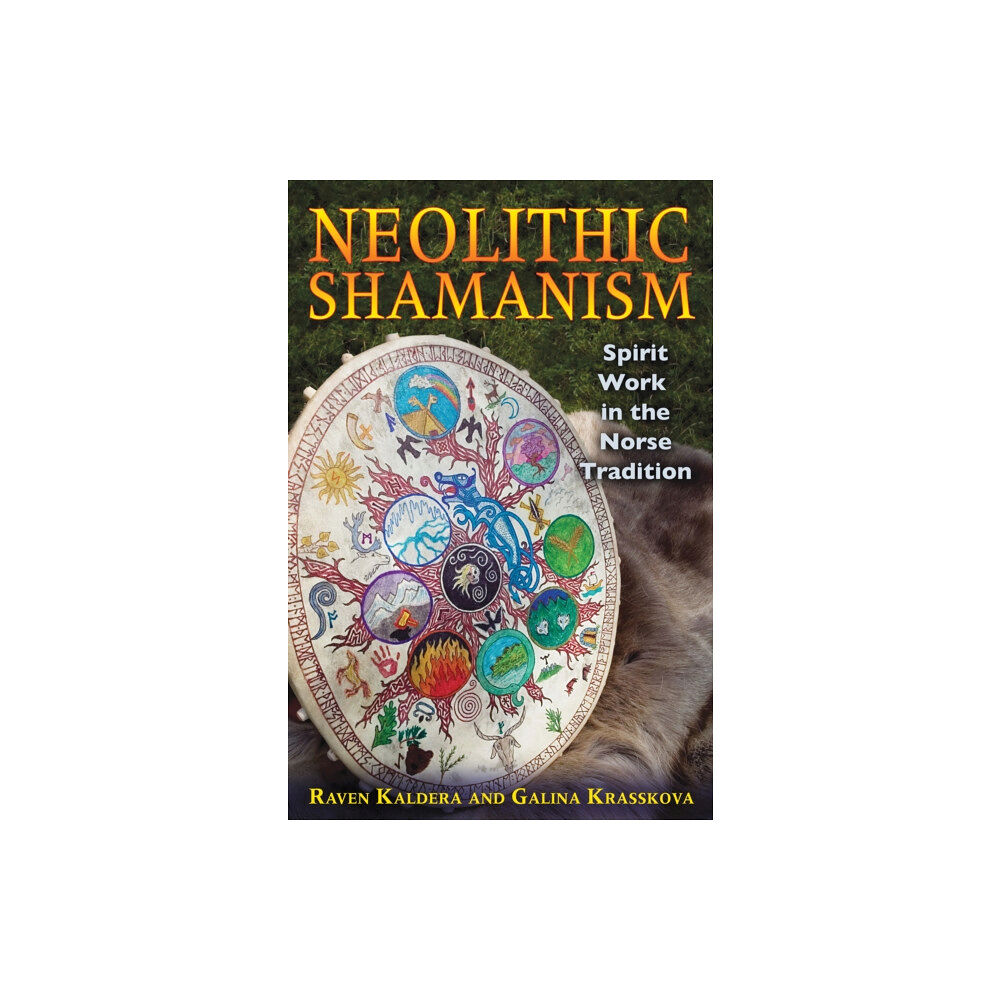 Inner Traditions Bear and Company Neolithic Shamanism (häftad, eng)