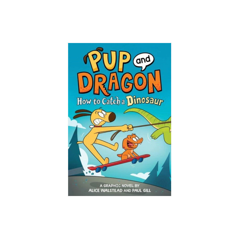 Sourcebooks, Inc How to Catch Graphic Novels: How to Catch a Dinosaur (inbunden, eng)