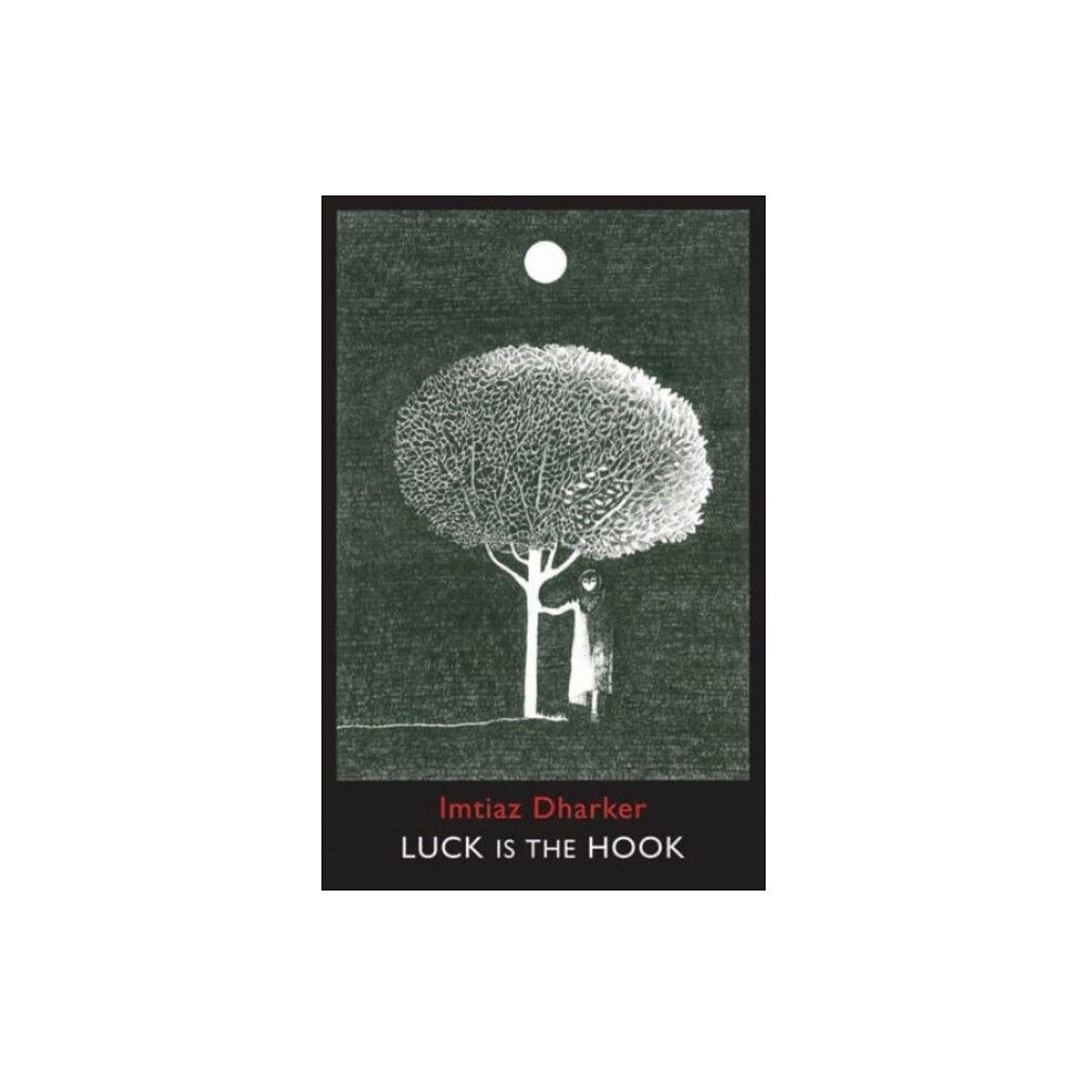 Bloodaxe Books Ltd Luck is the Hook (häftad, eng)