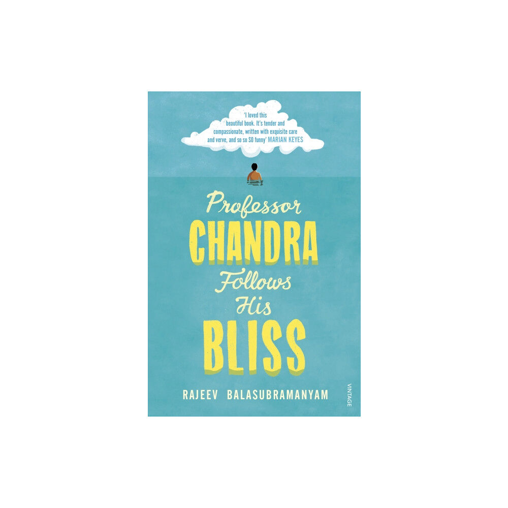 Vintage Publishing Professor Chandra Follows His Bliss (häftad, eng)