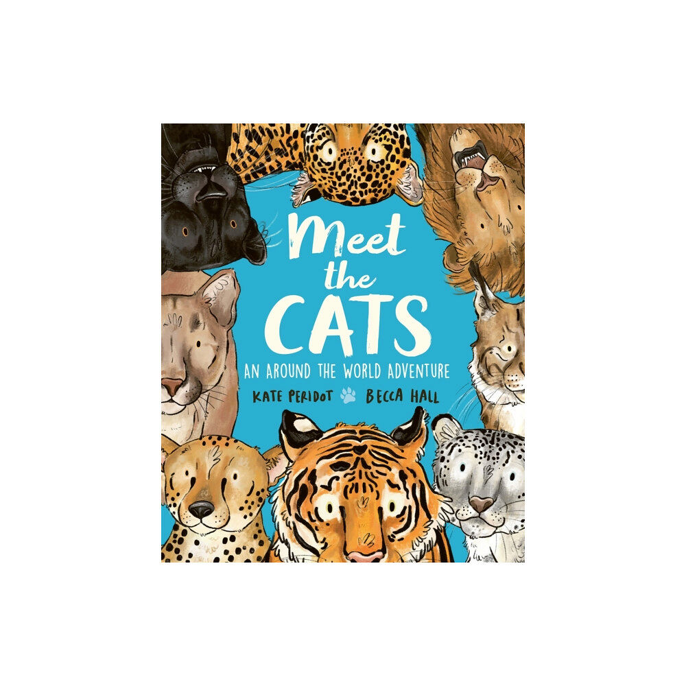 Hachette Children's Group Meet the Cats (inbunden, eng)