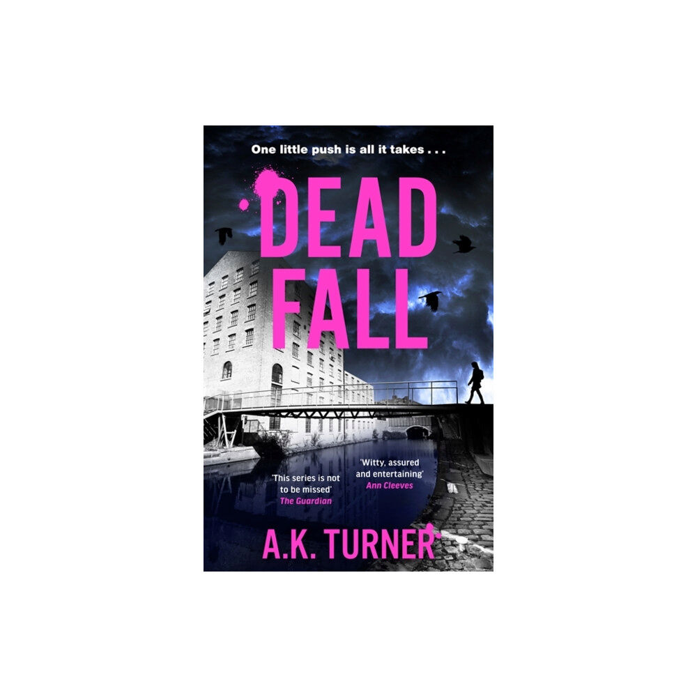 Bonnier Books Ltd Dead Fall (häftad, eng)