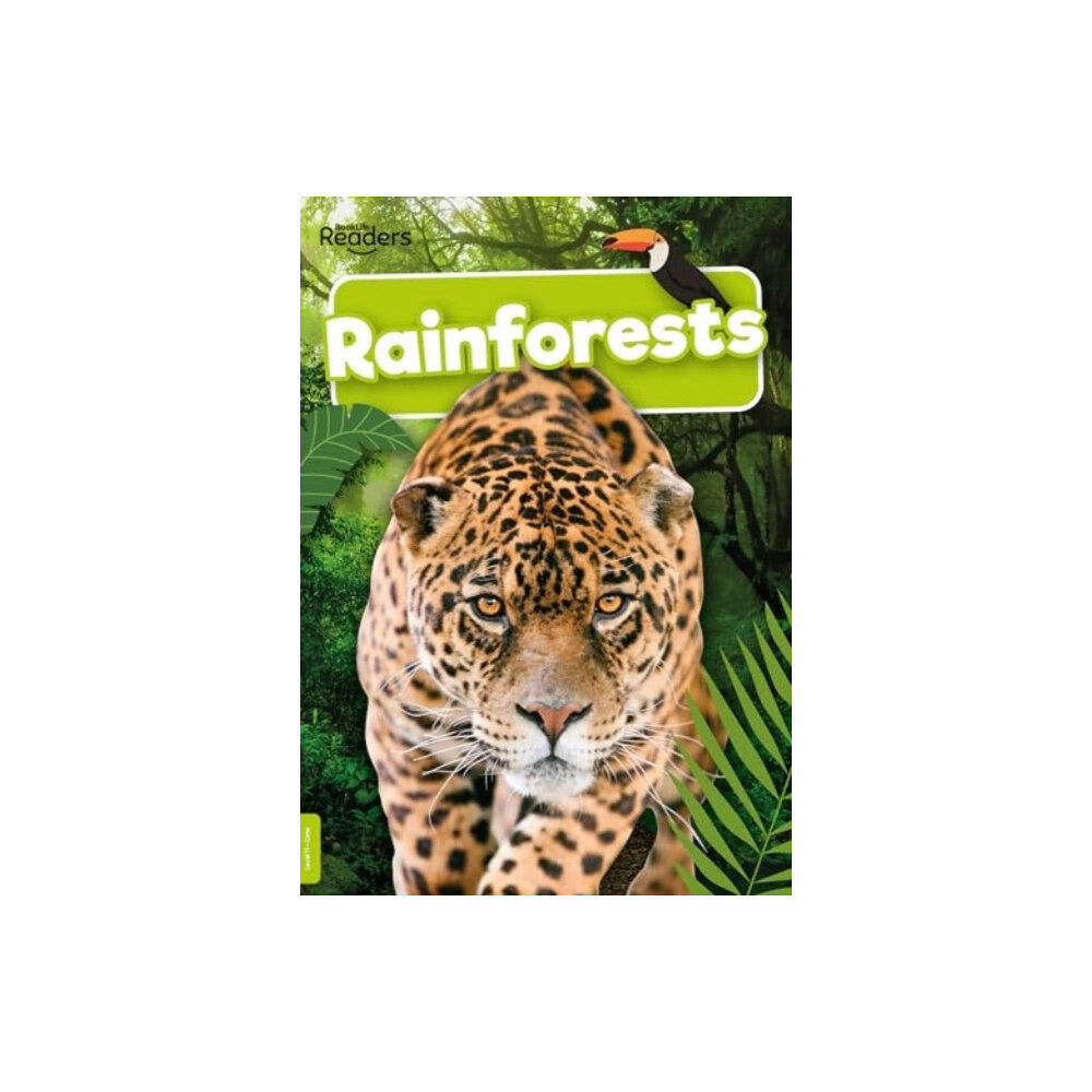 BookLife Publishing Rainforests (häftad, eng)