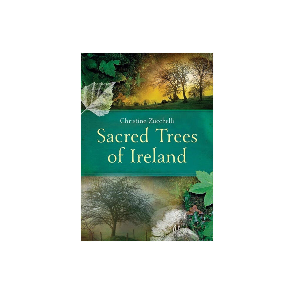 Gill Sacred Trees of Ireland (häftad, eng)