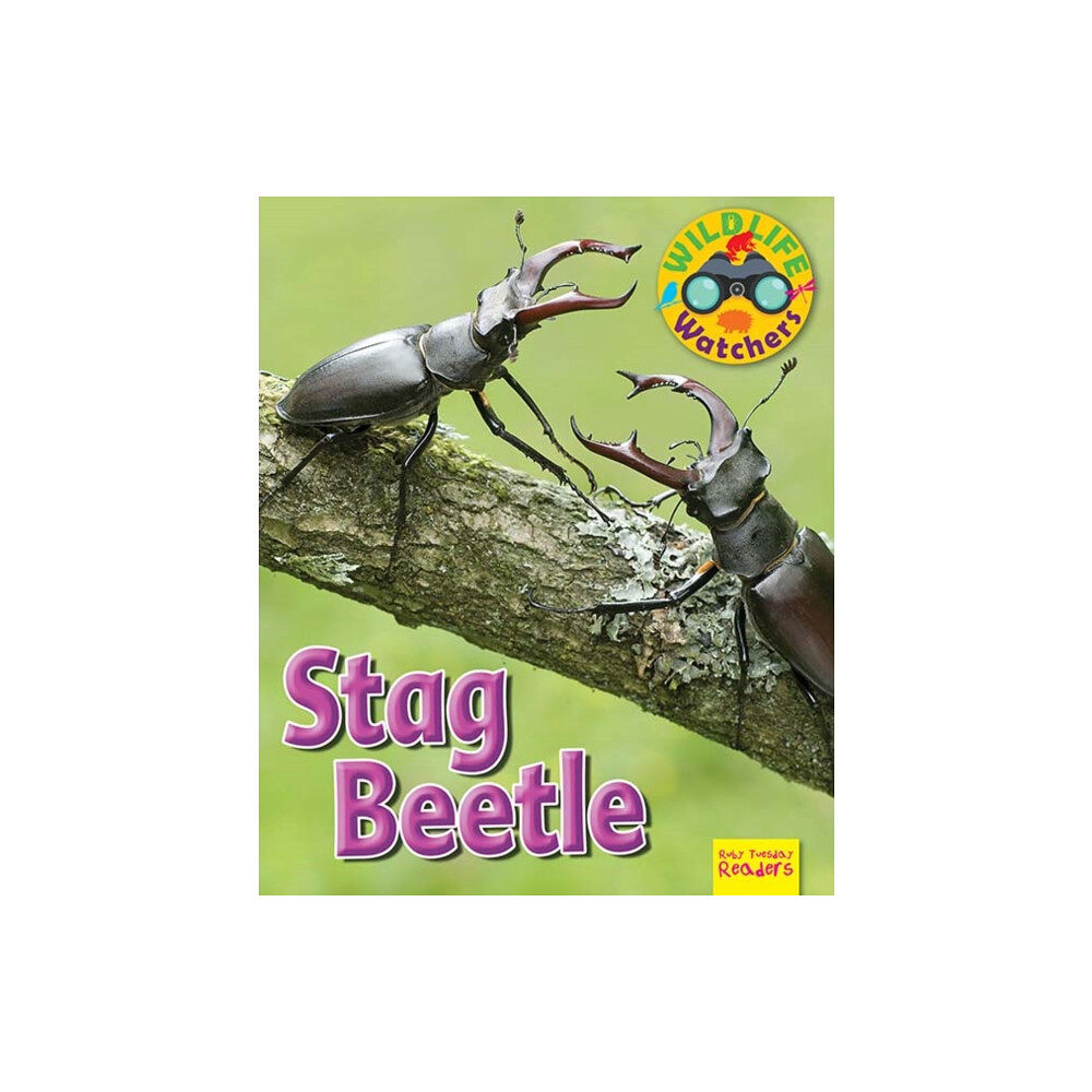 Ruby Tuesday Books Ltd Wildlife Watchers: Stag Beetle (häftad, eng)