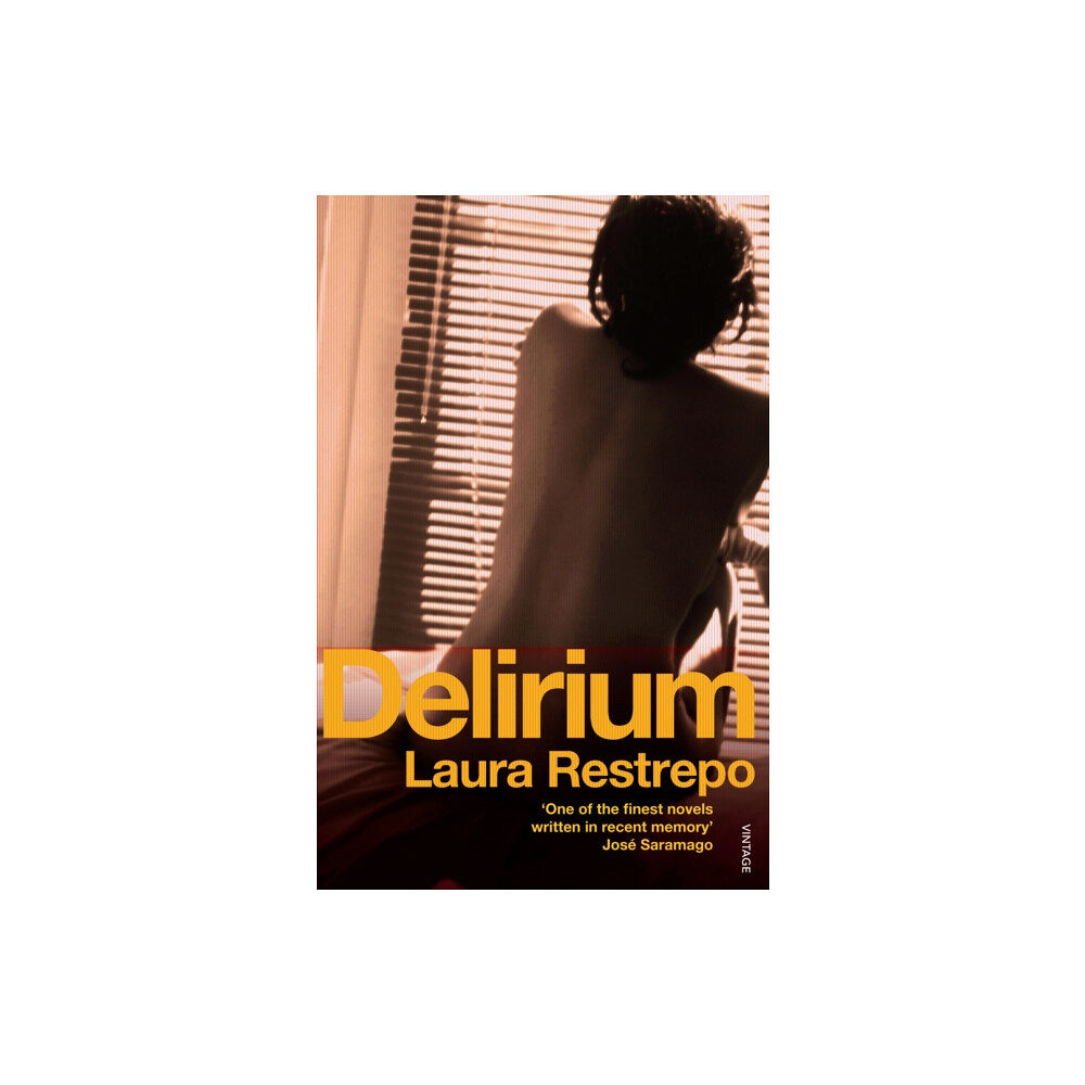 Vintage Publishing Delirium (häftad, eng)