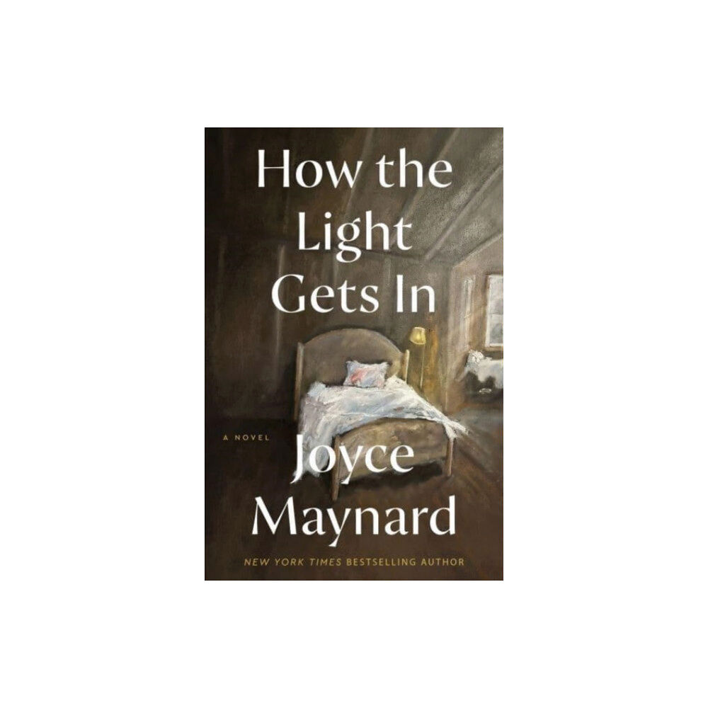 Harpercollins publishers inc How the Light Gets In (inbunden, eng)