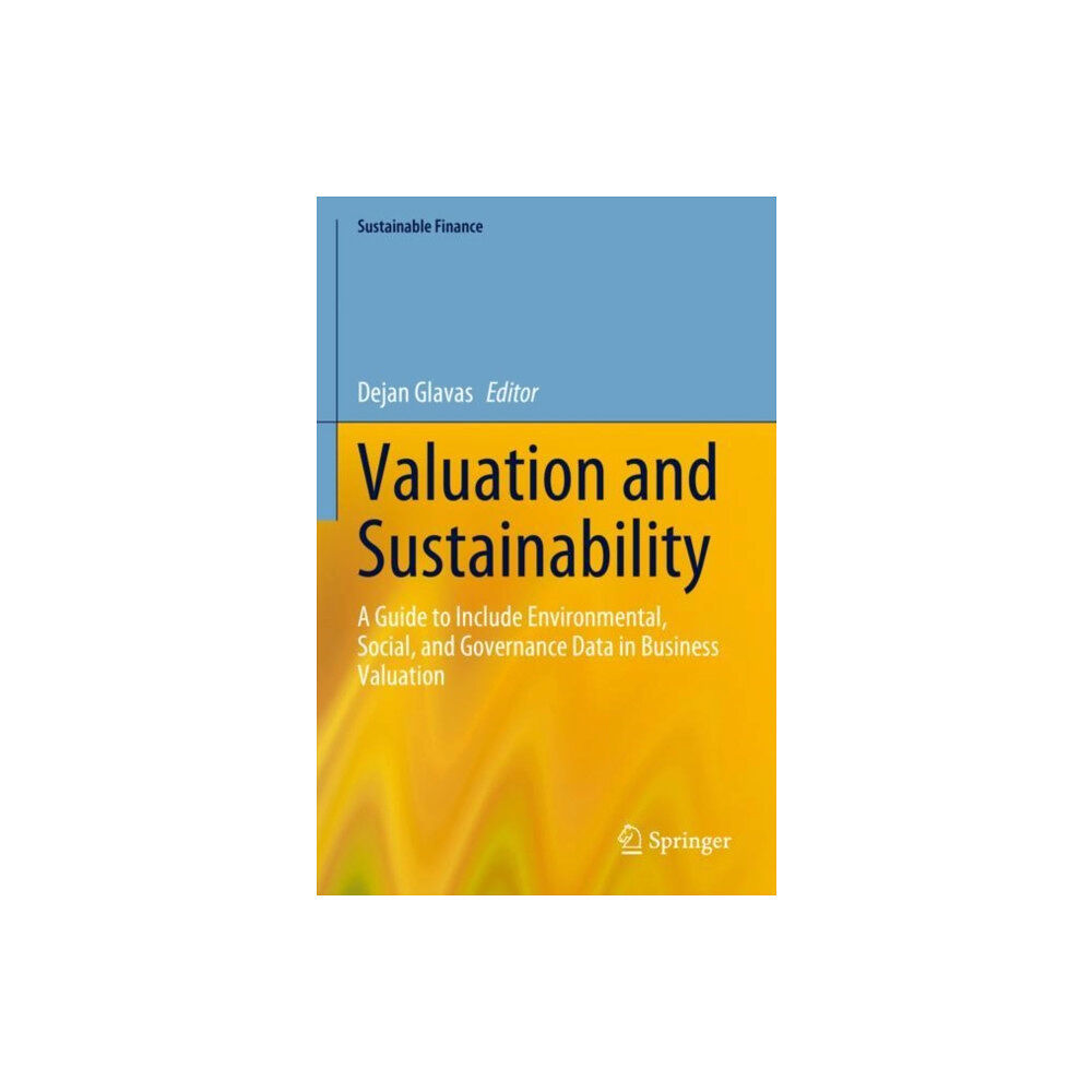 Springer International Publishing AG Valuation and Sustainability (häftad, eng)