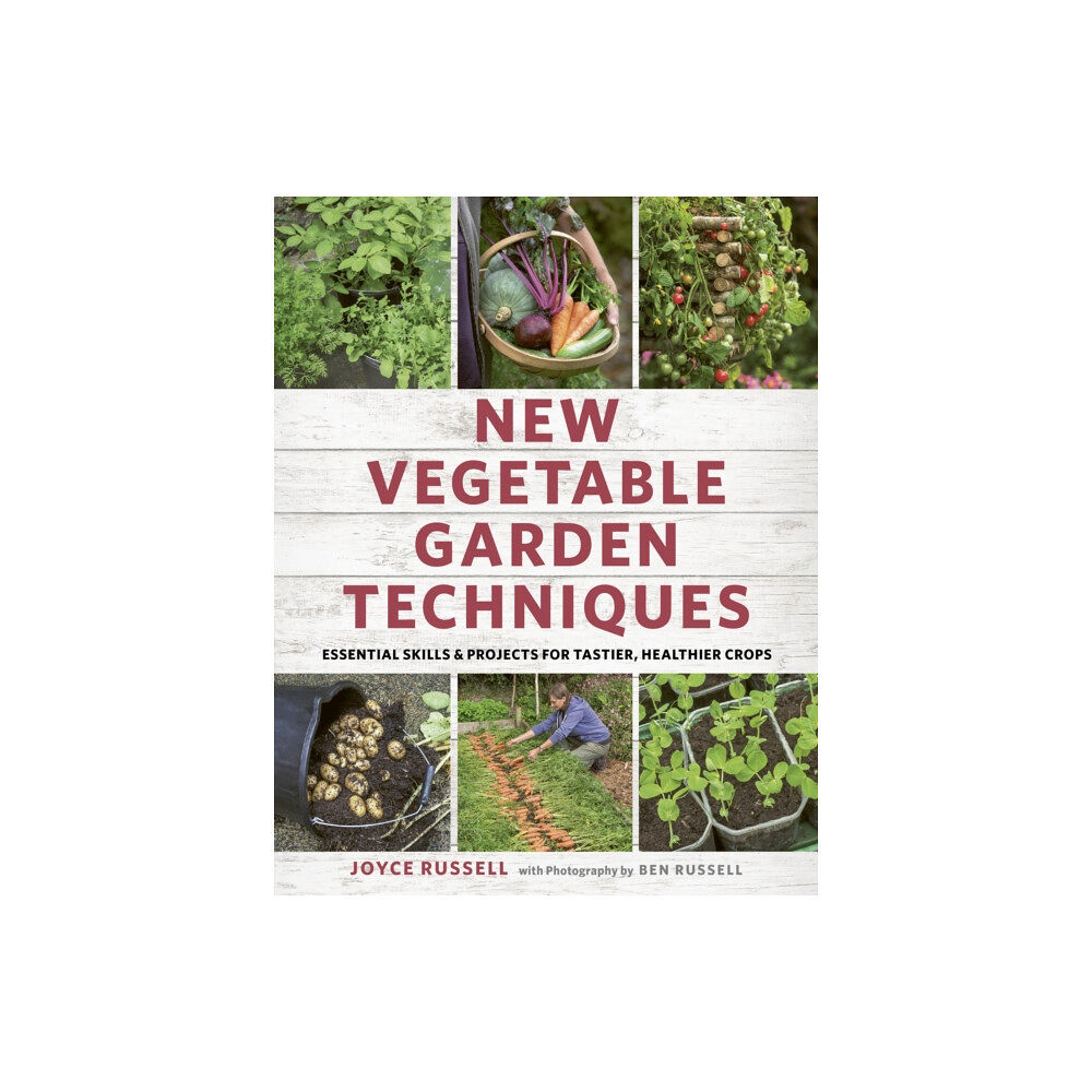 Quarto Publishing Plc New Vegetable Garden Techniques (häftad, eng)