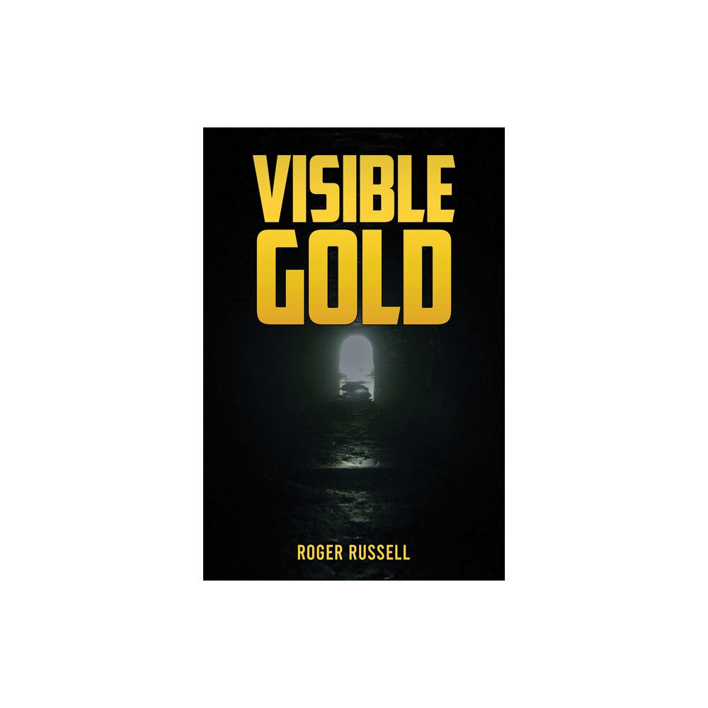 Austin Macauley Publishers Visible Gold (häftad, eng)