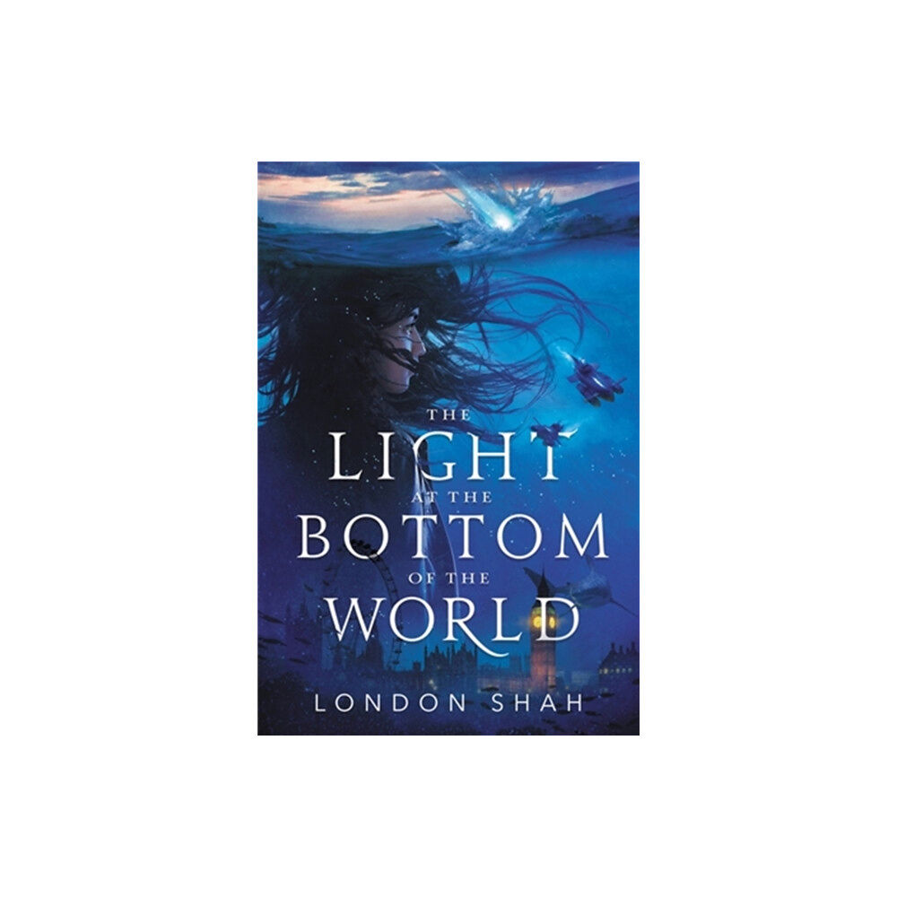 Little, Brown & Company The Light at the Bottom of the World (häftad, eng)