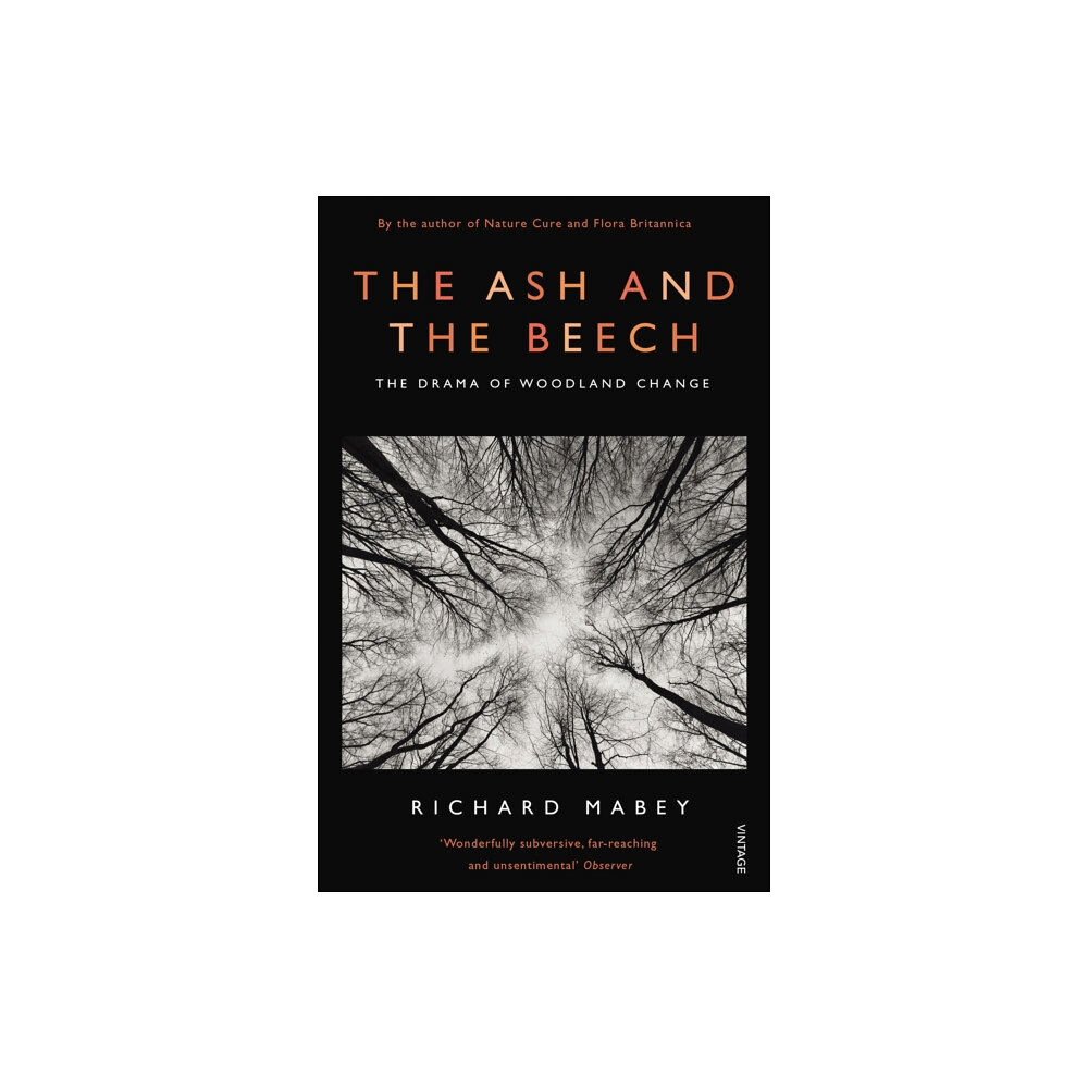 Vintage Publishing The Ash and The Beech (häftad, eng)