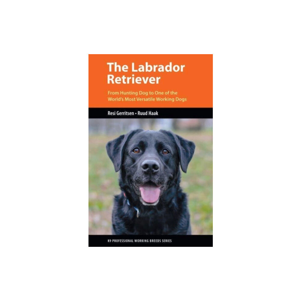 Brush Education Inc The Labrador Retriever (häftad, eng)