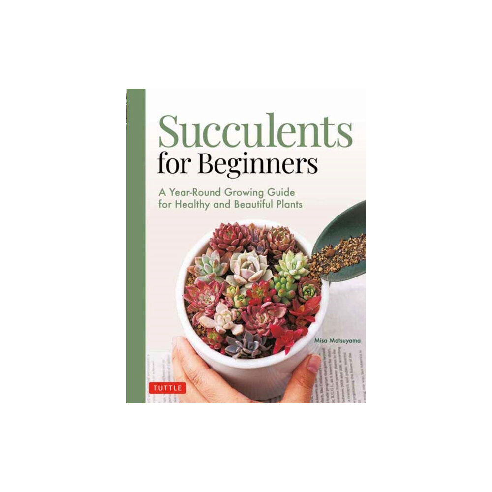 Tuttle Publishing Succulents for Beginners (häftad, eng)