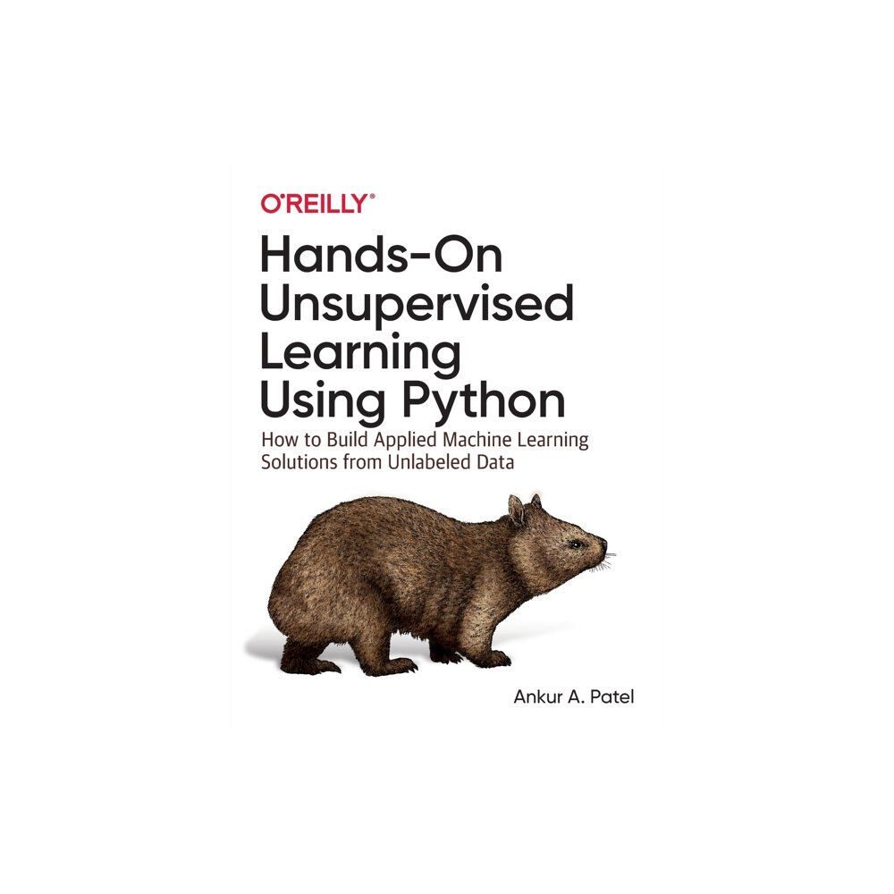 O'Reilly Media Hands-On Unsupervised Learning Using Python (häftad, eng)