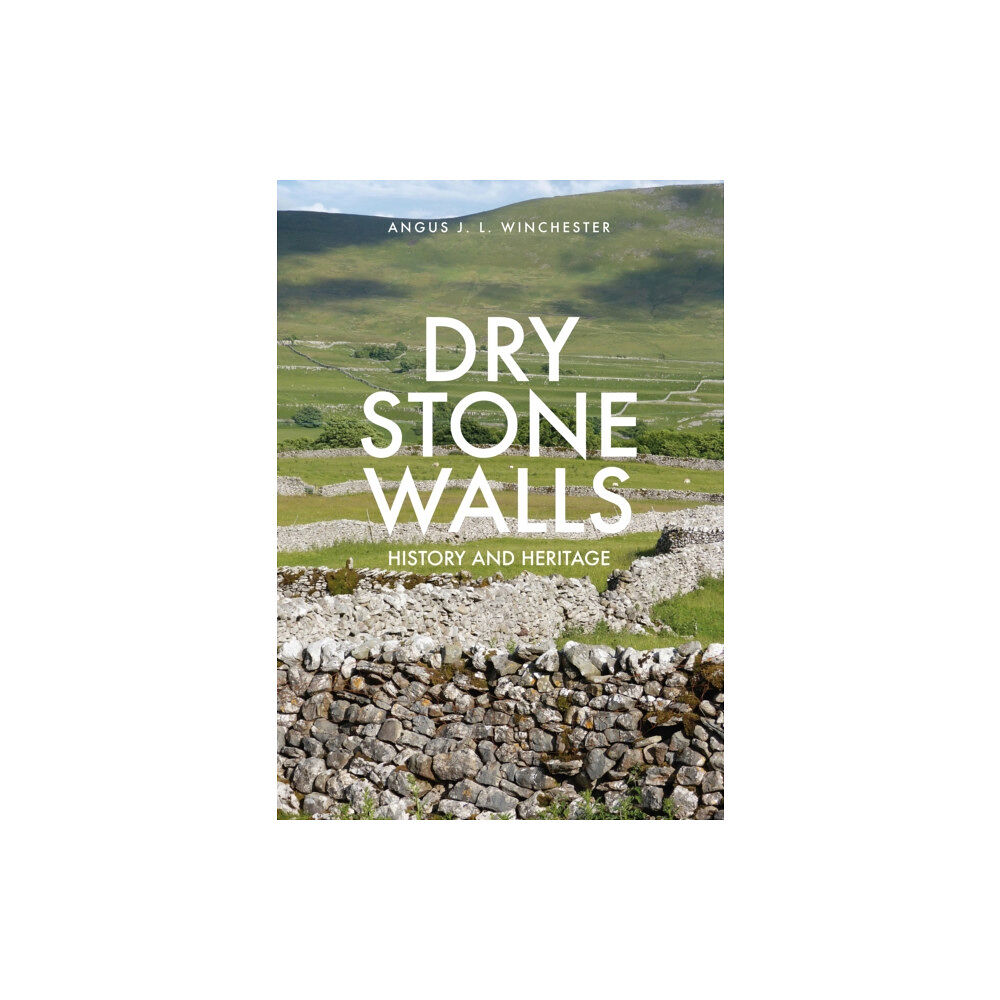 Amberley Publishing Dry Stone Walls (häftad, eng)